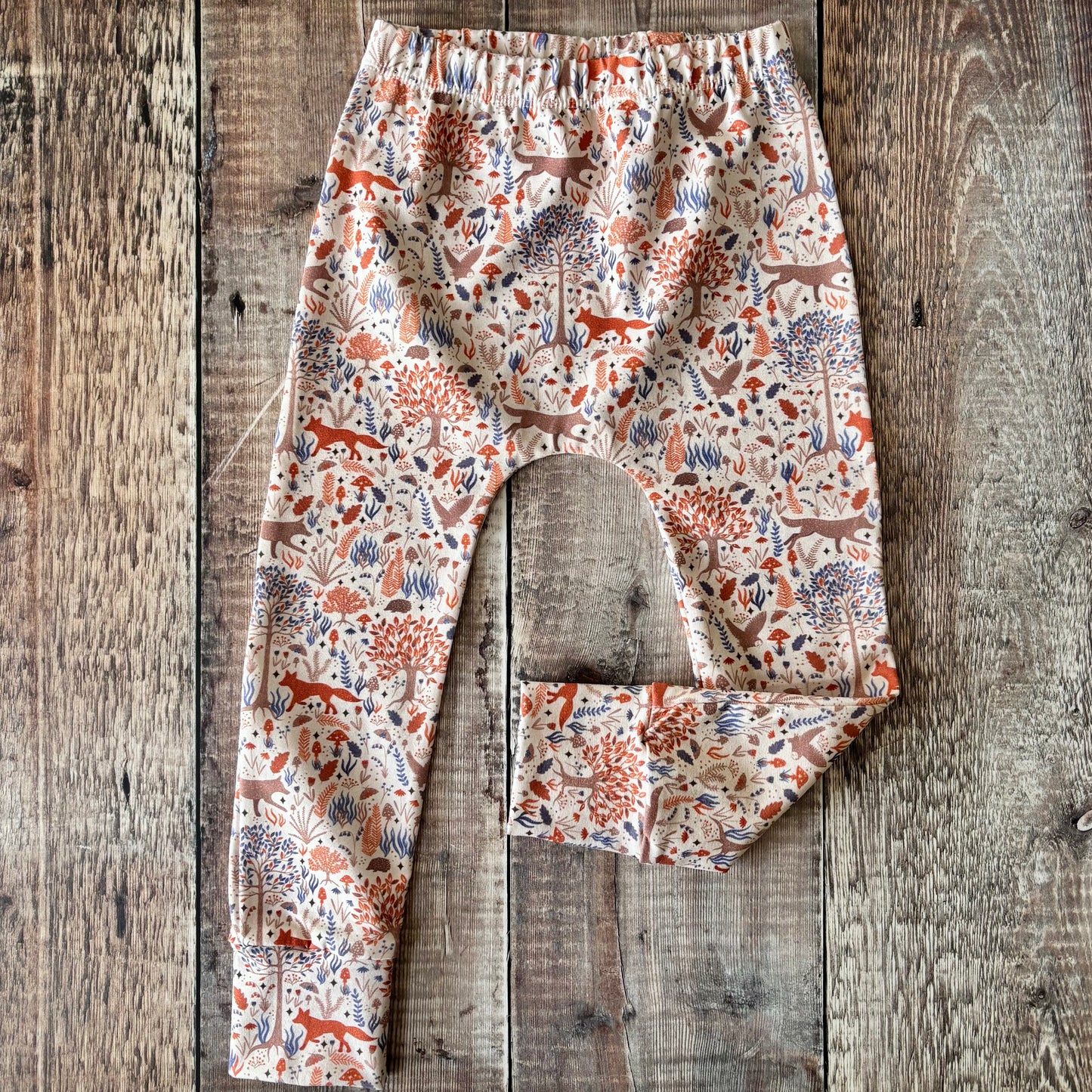 Mini Autumn Forest Harems 9-12m