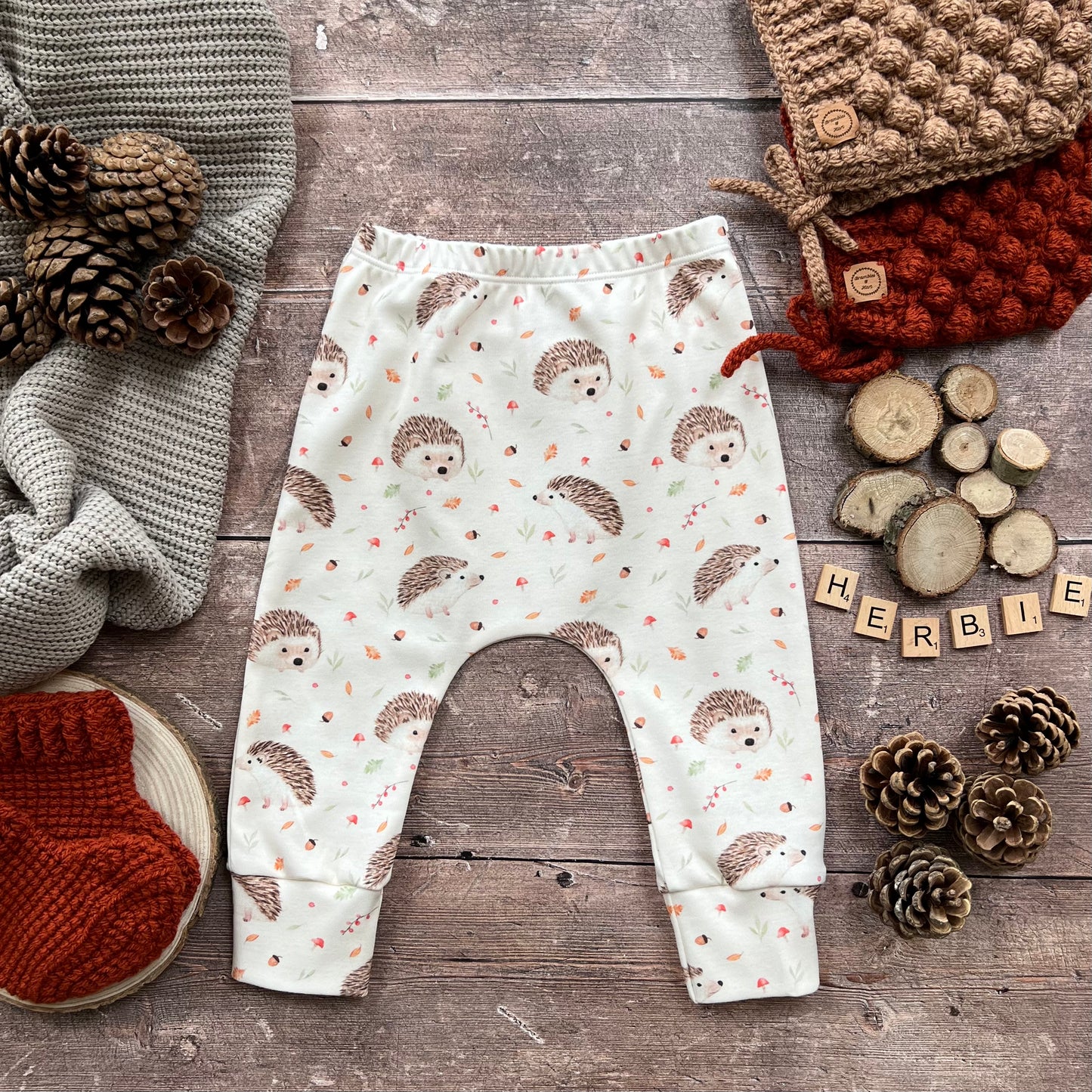 Hedgehogs Harems 3-6m