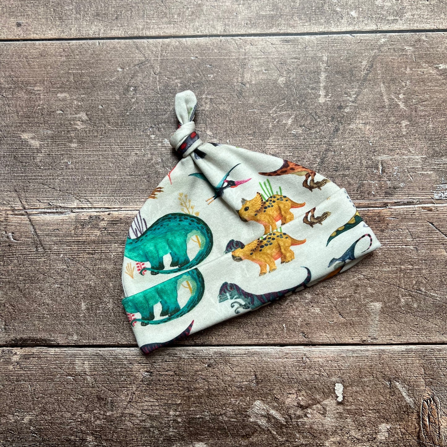 Dino Land Single Knotted Hat - 0-3m
