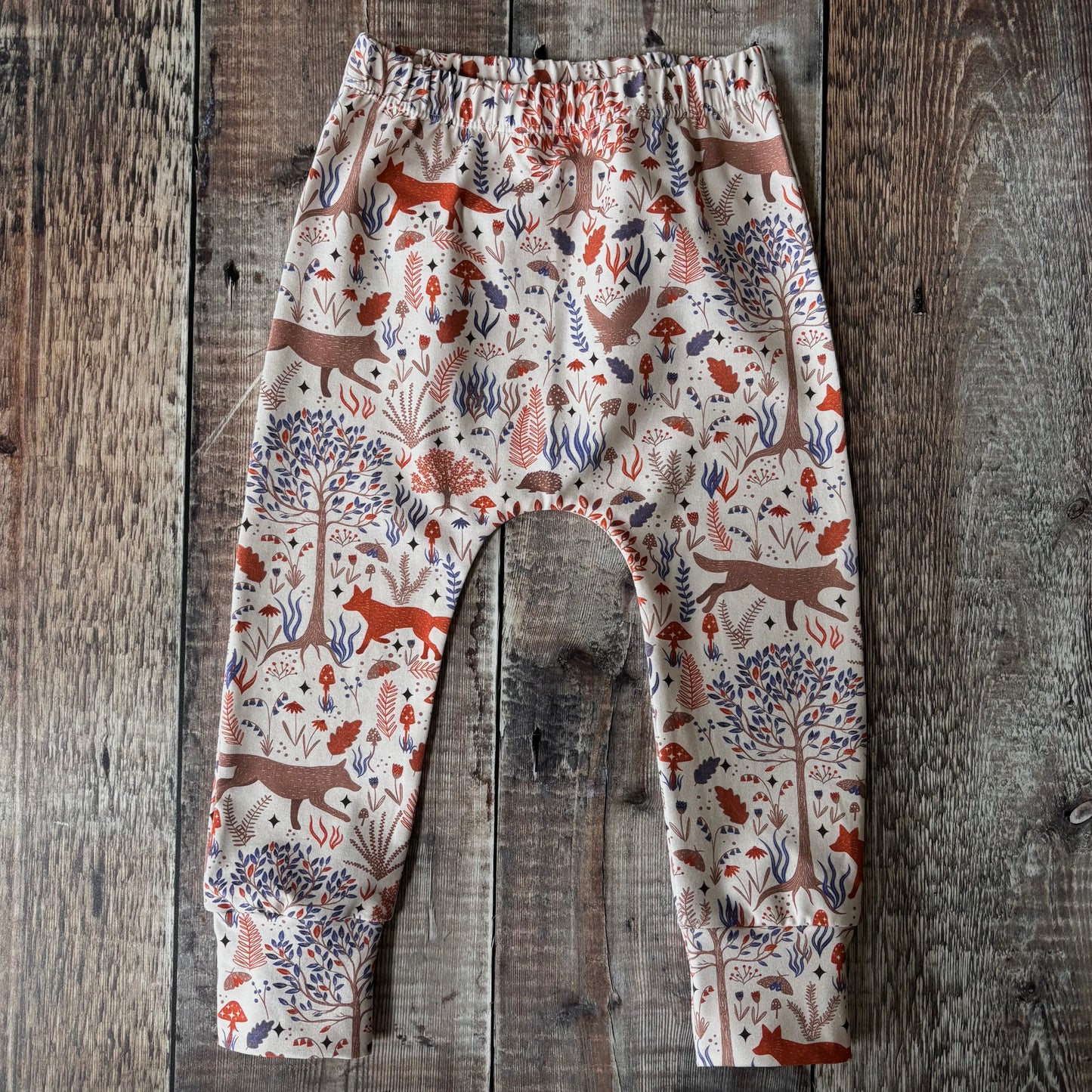 Autumn Forest Harems 18-24m