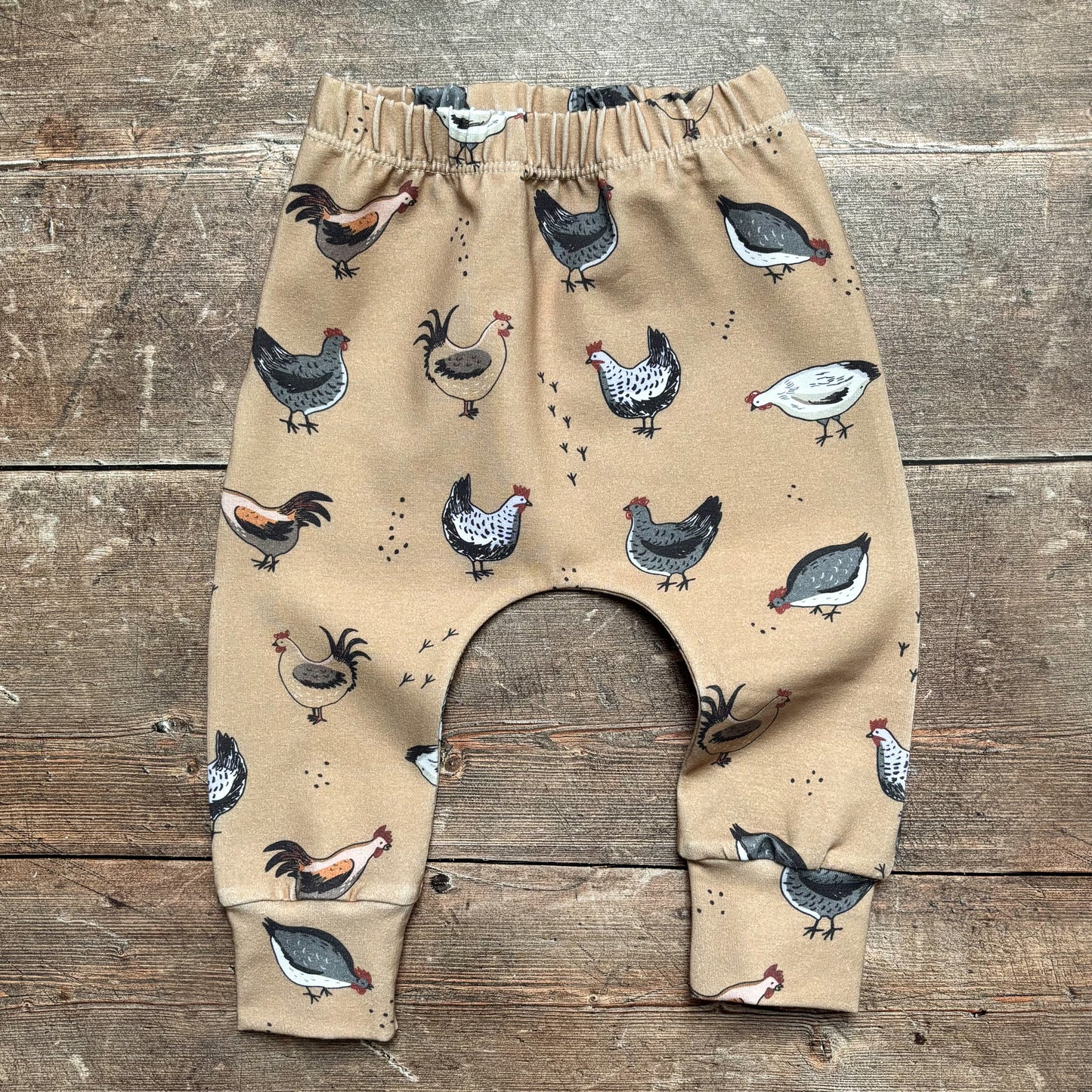 Chickens Harems 9-12m