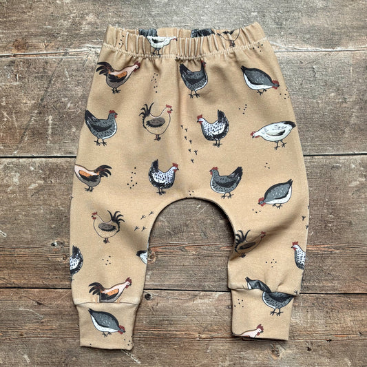 Chickens Harems 9-12m