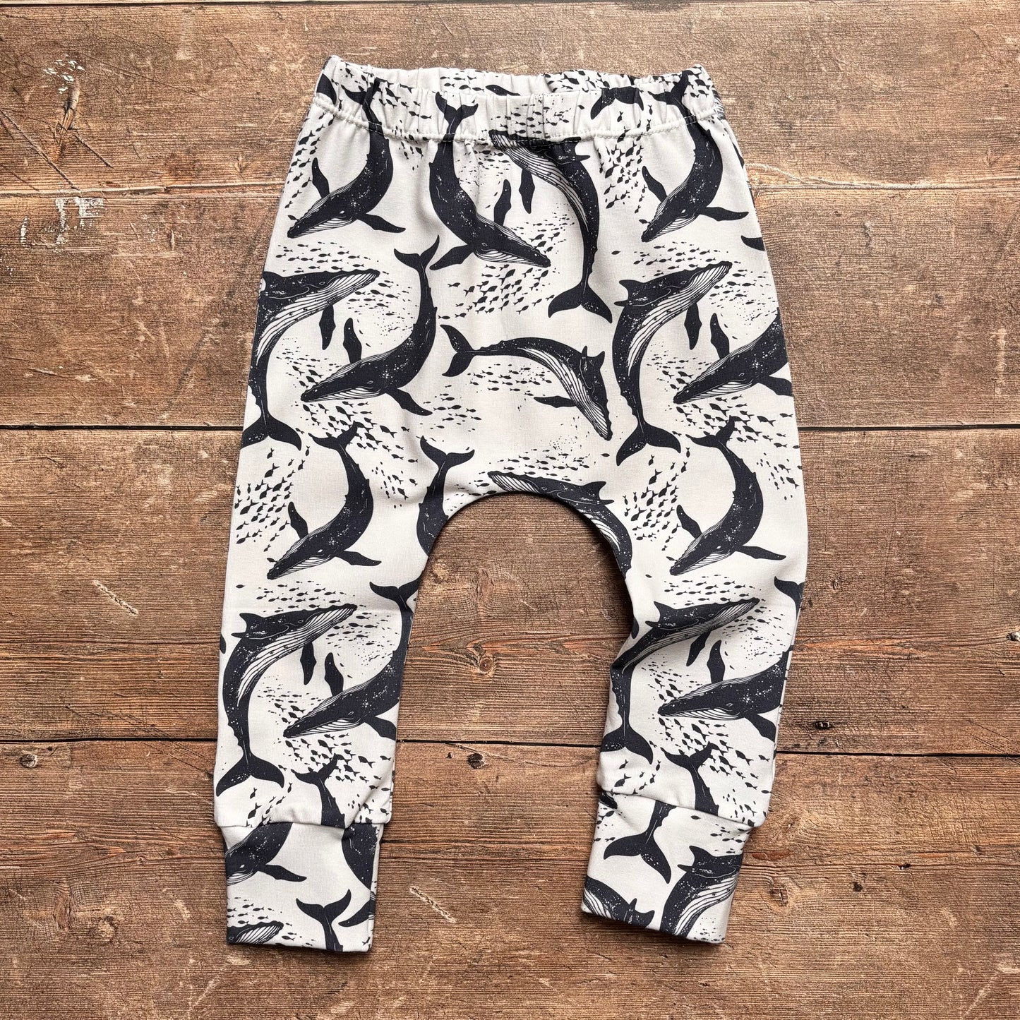 Whale Pod Harems 12-18m
