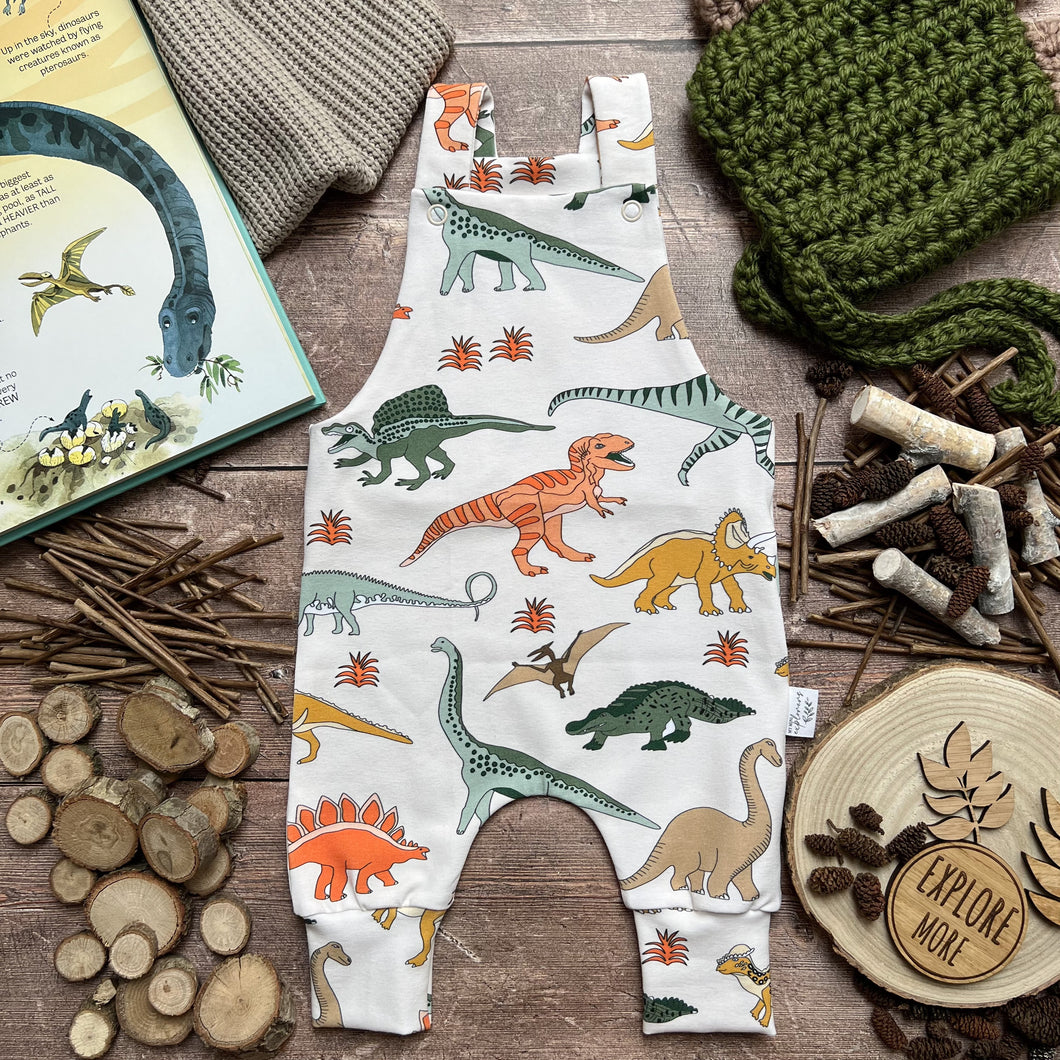 Jurassic Party Dungarees