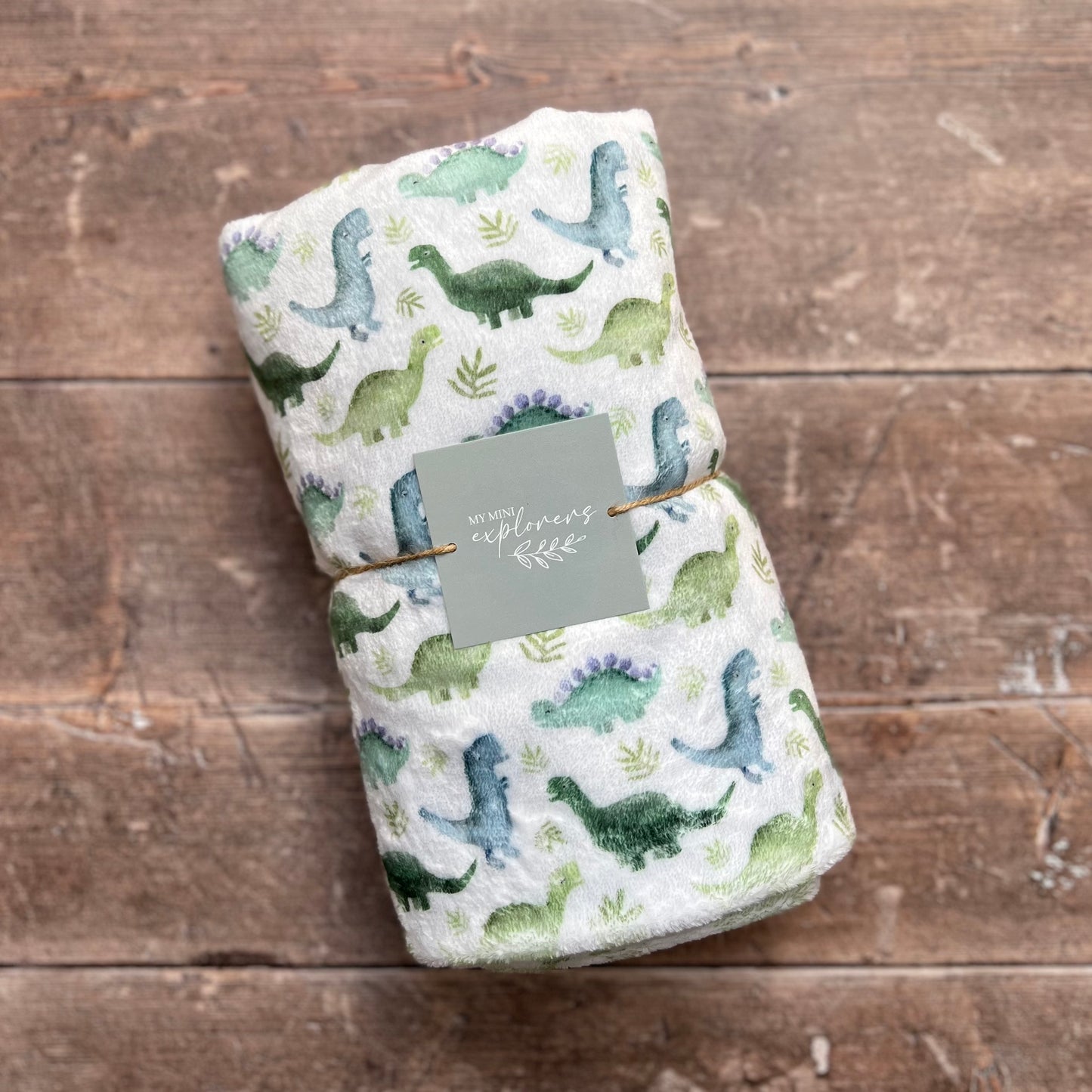 Blue Dinos Snuggle Blanket