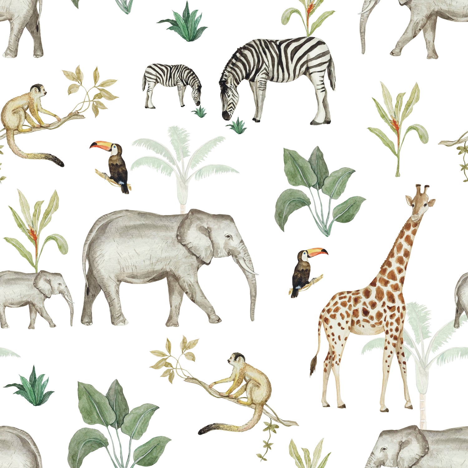 Safari