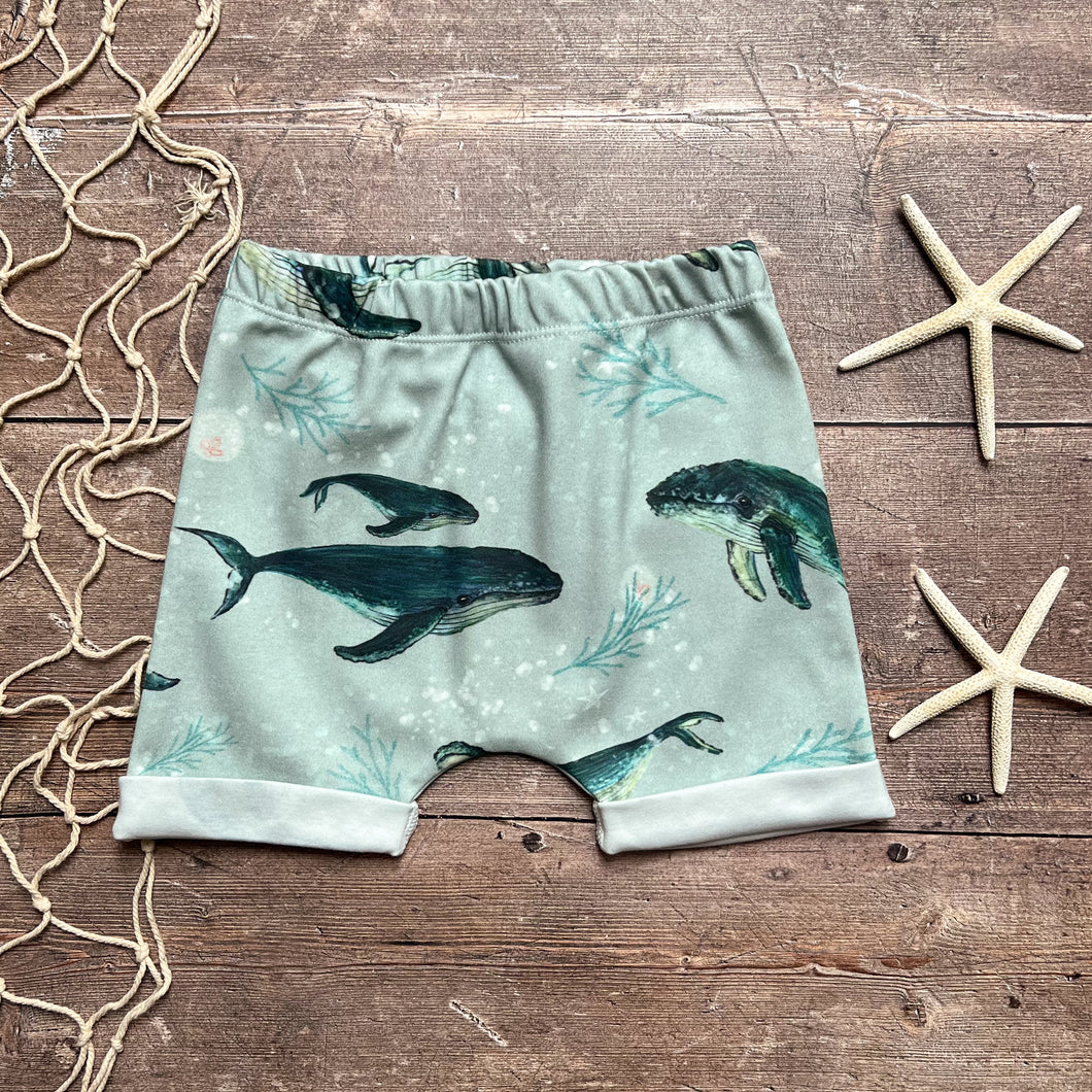 Humpback Whales Rolled Shorts 3-4 years