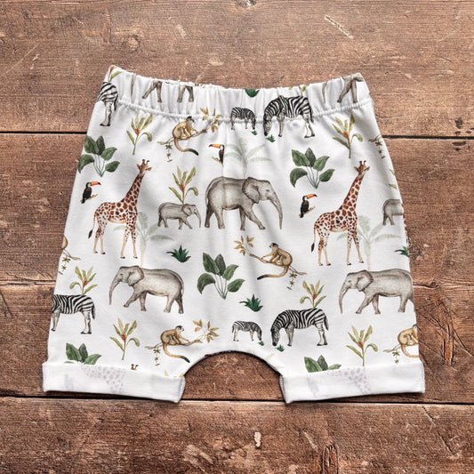 Jungle Safari Rolled Shorts 18-24m