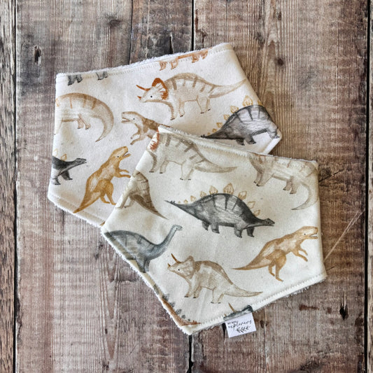 Dino Rawr Dribble Bib