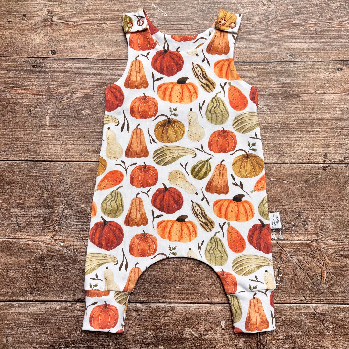 Autumn Squashes Romper 3-6m