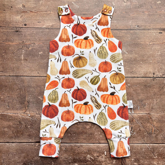 Autumn Squashes Romper 3-6m