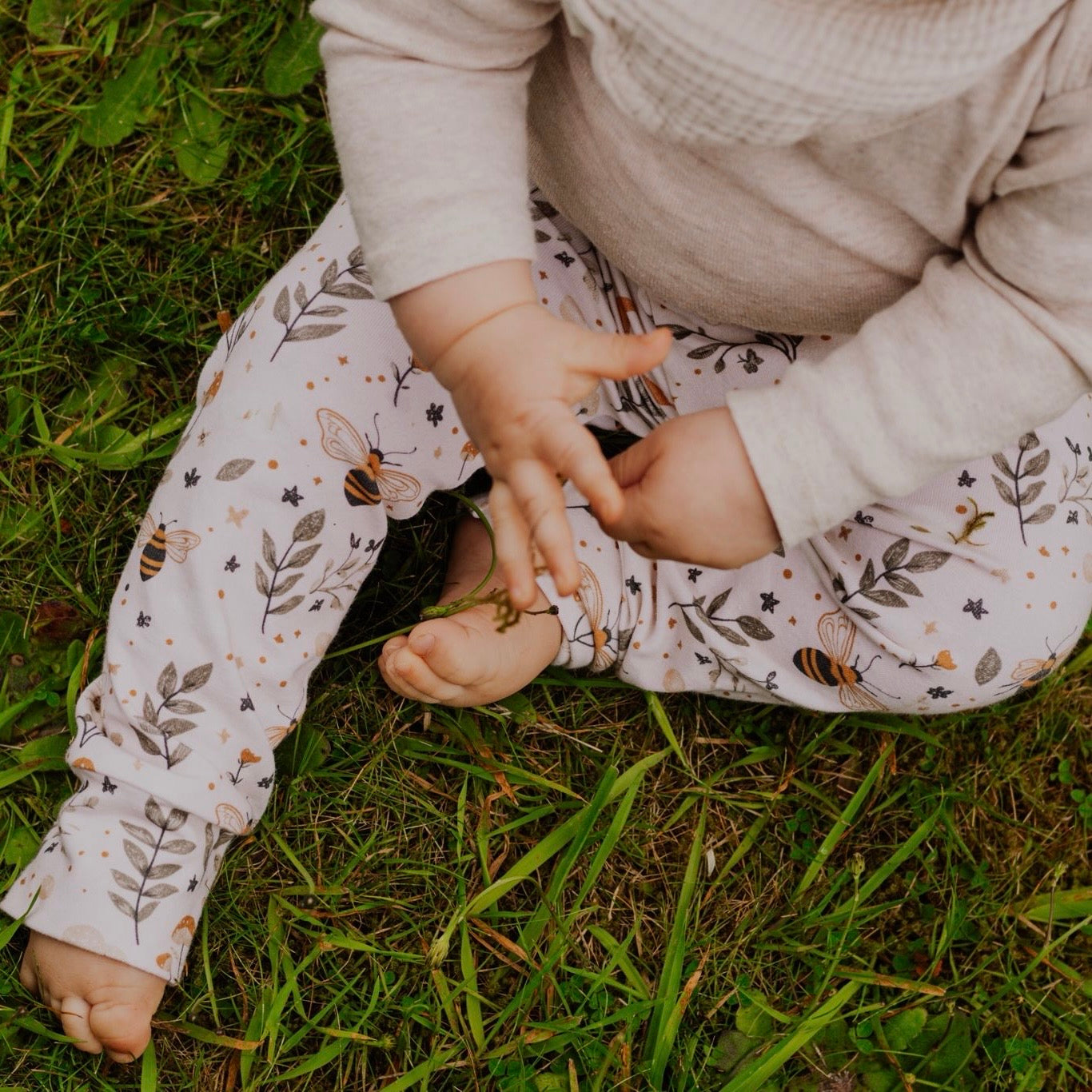 Bees & Moon Harems 6-9m