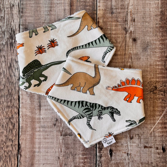 Jurassic Dinos Dribble Bib