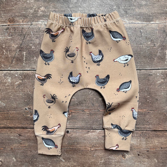 Chickens Harems