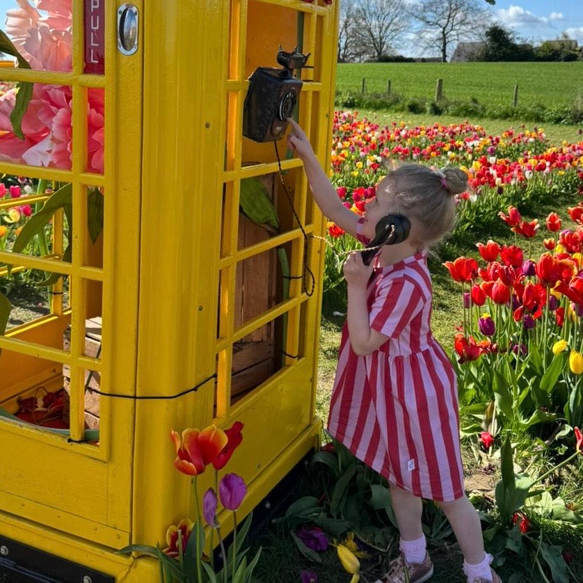 Pink & Red Stripes Child & Baby Sleeved Dress - 3 options