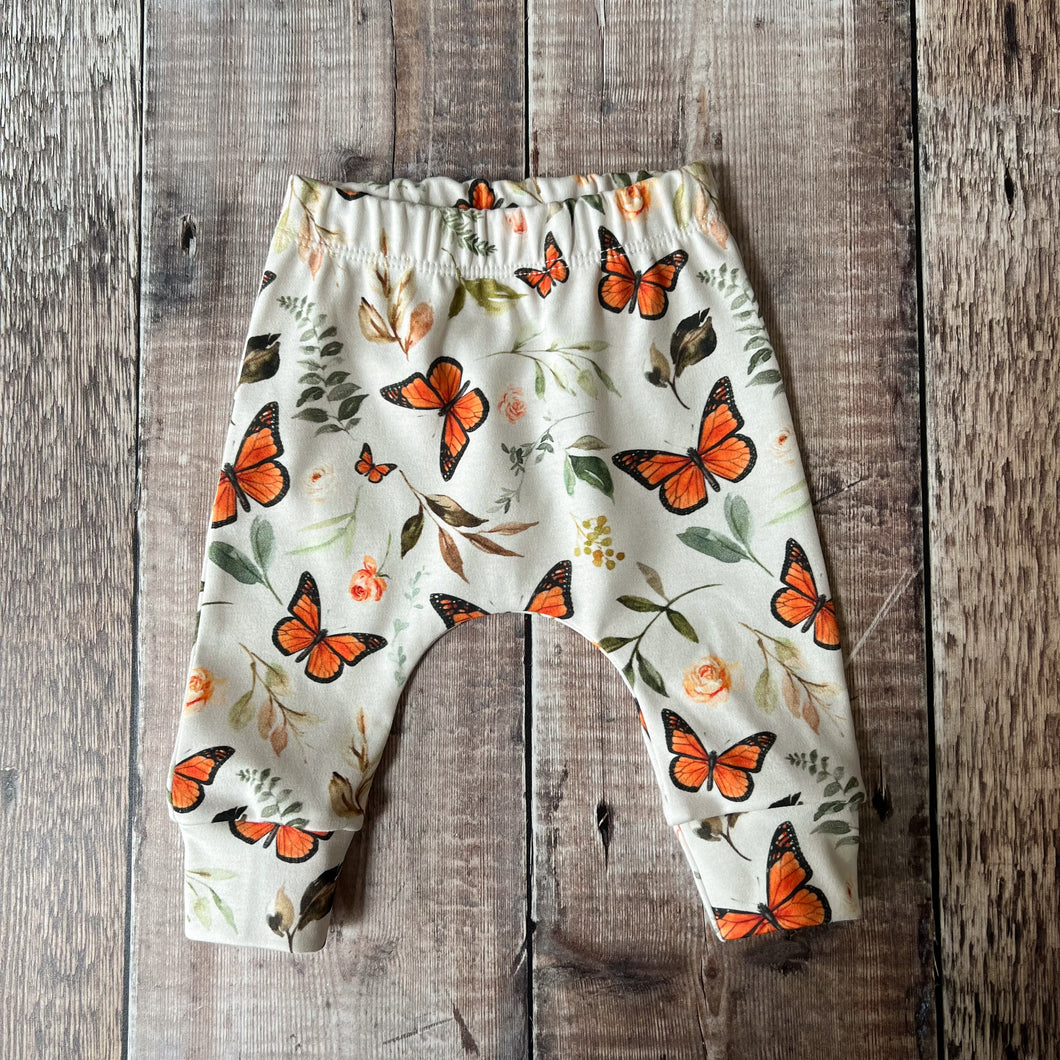 Monarch Butterflies Harems 3-6m