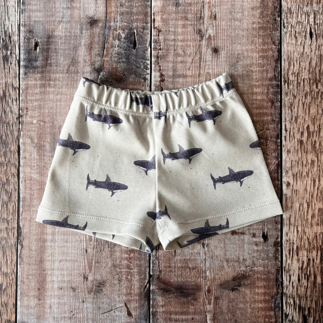 Sharks Lounge Shorts 6-9m