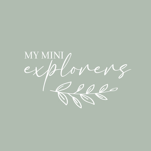 My Mini Explorers