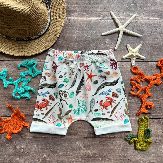 Beachcomber Rolled Shorts 3-6m